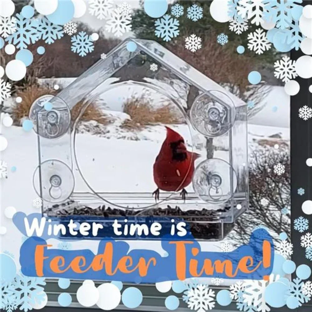 Window Bird Feeder by Nature Anywhere - Transparent Acrylic Bird Feeders